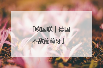 欧国联｜德国不敌葡萄牙