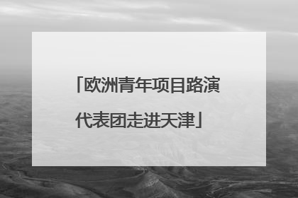 欧洲青年项目路演代表团走进天津
