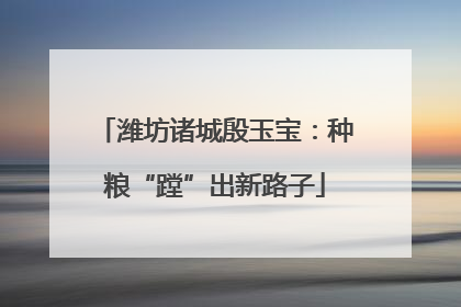潍坊诸城殷玉宝：种粮“蹚”出新路子