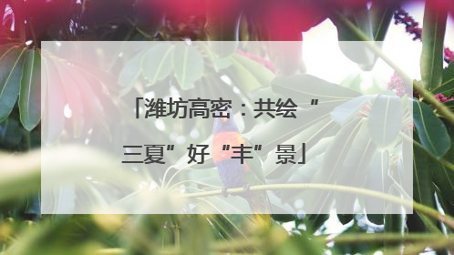 潍坊高密：共绘“三夏”好“丰”景