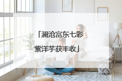 澜沧富东七彩紫洋芋获丰收