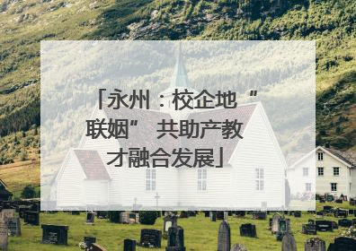 永州：校企地“联姻” 共助产教才融合发展