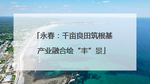 永春：千亩良田筑根基 产业融合绘“丰”景