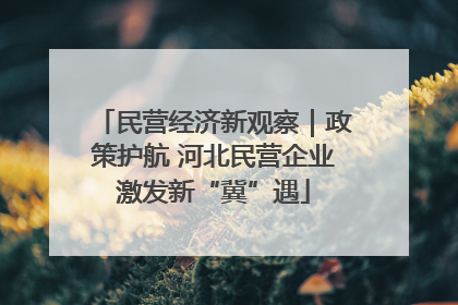 民营经济新观察｜政策护航 河北民营企业激发新“冀”遇