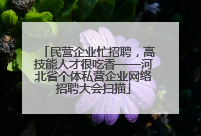 民营企业忙招聘，高技能人才很吃香——河北省个体私营企业网络招聘大会扫描