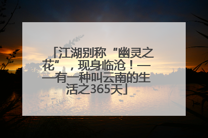 江湖别称“幽灵之花”，现身临沧！——有一种叫云南的生活之365天