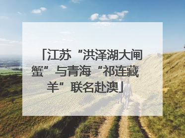 江苏“洪泽湖大闸蟹”与青海“祁连藏羊”联名赴澳