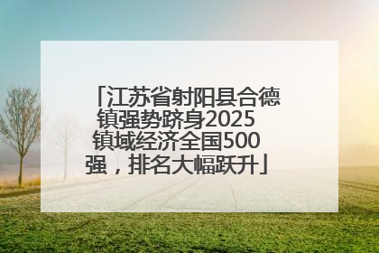 江苏省射阳县合德镇强势跻身2025镇域经济全国500强，排名大幅跃升