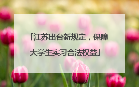江苏出台新规定，保障大学生实习合法权益