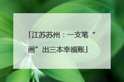 江苏苏州：一支笔“画”出三本幸福账