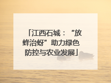 江西石城：“放蜂治蚜”助力绿色防控与农业发展