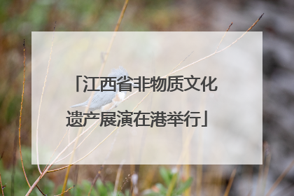 江西省非物质文化遗产展演在港举行