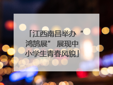 江西南昌举办“鸿鹄展” 展现中小学生青春风貌