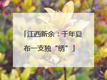 江西新余：千年夏布一支独“绣”