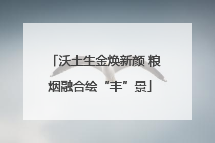 沃土生金焕新颜 粮烟融合绘“丰”景
