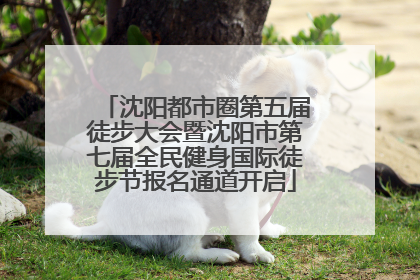 沈阳都市圈第五届徒步大会暨沈阳市第七届全民健身国际徒步节报名通道开启