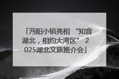 沔阳小镇亮相 “知音湖北，相约大湾区” 2025湖北文旅推介会
