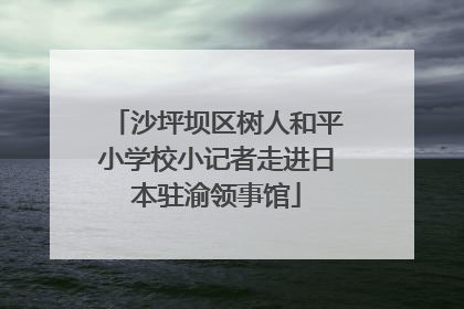 沙坪坝区树人和平小学校小记者走进日本驻渝领事馆