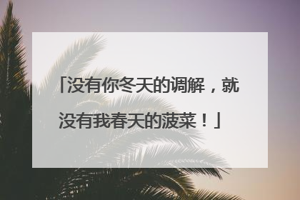 没有你冬天的调解，就没有我春天的菠菜！