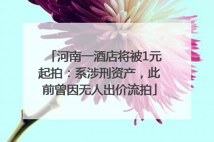 河南一酒店将被1元起拍：系涉刑资产，此前曾因无人出价流拍