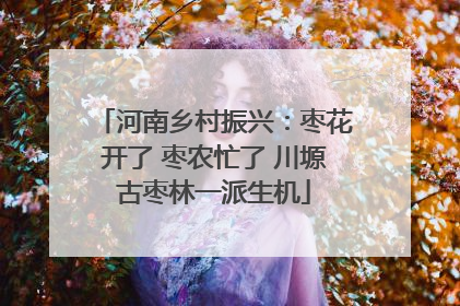 河南乡村振兴：枣花开了 枣农忙了 川塬古枣林一派生机