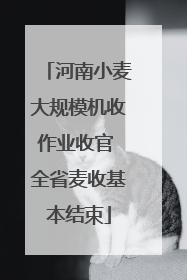 河南小麦大规模机收作业收官 全省麦收基本结束