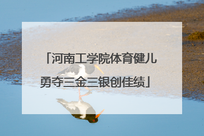 河南工学院体育健儿勇夺三金三银创佳绩
