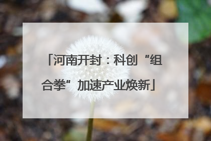 河南开封：科创“组合拳”加速产业焕新