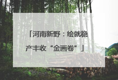 河南新野：绘就稳产丰收“金画卷”