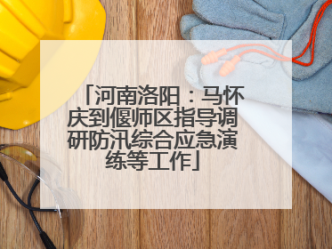 河南洛阳：马怀庆到偃师区指导调研防汛综合应急演练等工作