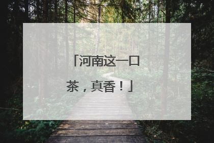 河南这一口茶，真香！
