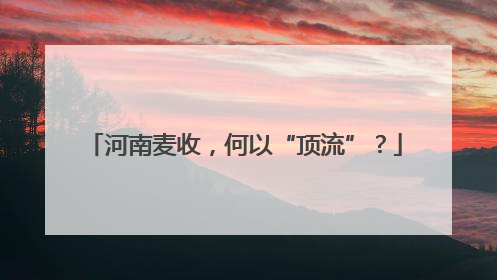 河南麦收，何以“顶流”？