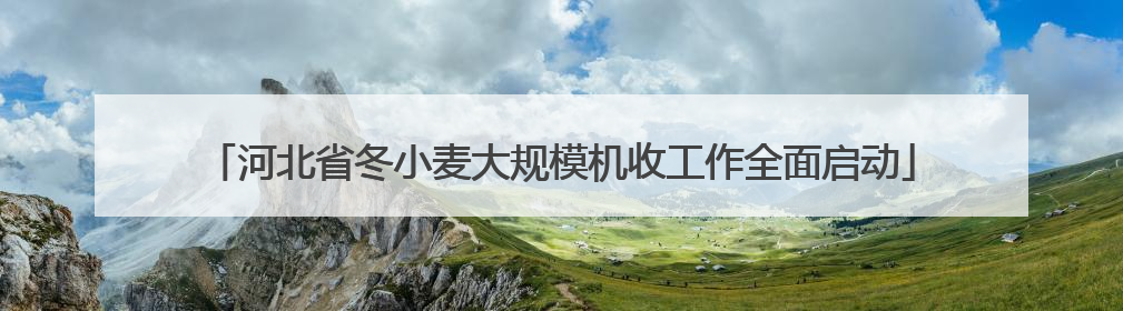 河北省冬小麦大规模机收工作全面启动