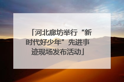 河北廊坊举行“新时代好少年”先进事迹现场发布活动