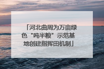 河北曲周为万亩绿色“吨半粮”示范基地创建指挥田机制