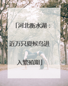 河北衡水湖：近万只夏候鸟进入繁殖期
