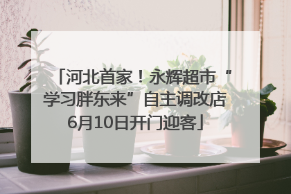 河北首家！永辉超市“学习胖东来”自主调改店6月10日开门迎客