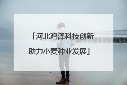 河北鸡泽科技创新助力小麦种业发展