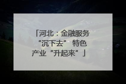 河北：金融服务“沉下去” 特色产业“升起来”