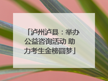 泸州泸县：举办公益咨询活动 助力考生金榜圆梦