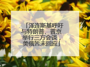 泽连斯基呼吁与特朗普、普京举行三方会谈，美俄暂未回应