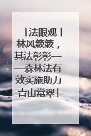 法眼观丨林风簌簌，其法彰彰——森林法有效实施助力青山常翠