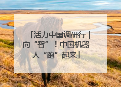 活力中国调研行｜向“智”！中国机器人“跑”起来