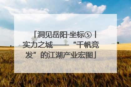 洞见岳阳·坐标⑤丨实力之城——“千帆竞发”的江湖产业宏图