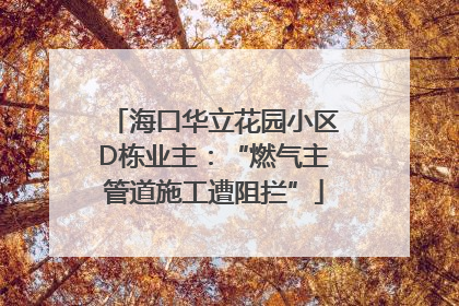 海口华立花园小区D栋业主：“燃气主管道施工遭阻拦”
