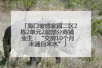 海口坡博家园二区2栋2单元2层部分商铺业主：“交房10个月未通自来水”