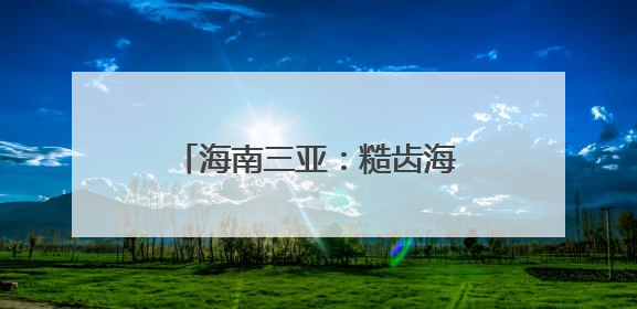 海南三亚：糙齿海豚被成功放归大海