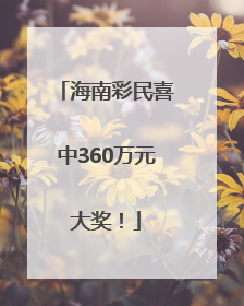 海南彩民喜中360万元大奖！