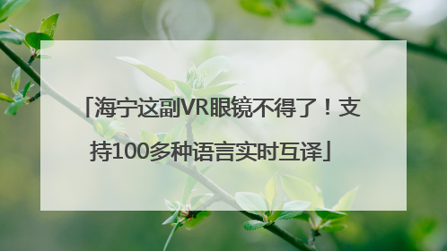 海宁这副VR眼镜不得了！支持100多种语言实时互译