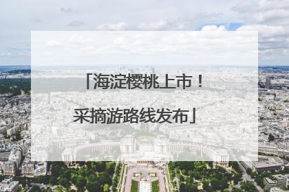 海淀樱桃上市！采摘游路线发布